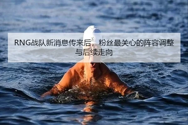RNG战队新消息传来后，粉丝最关心的阵容调整与后续走向（333sports）